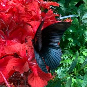 Meet your Posher, Patricia